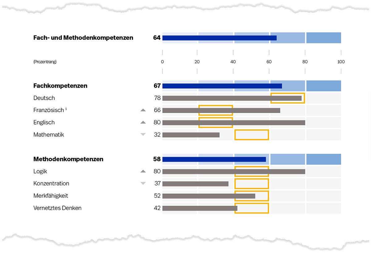 Abbildung 3. Prozentrangwerte für die Fach- und Methodenkompetenzen (blaue Balken) und deren Gebiete (graue Balken) auf Seite 1 der Auswertung (es sind beispielhaft die Anforderungslevels für den Beruf Detailhandelsfachmann/-frau EFZ dargestellt).