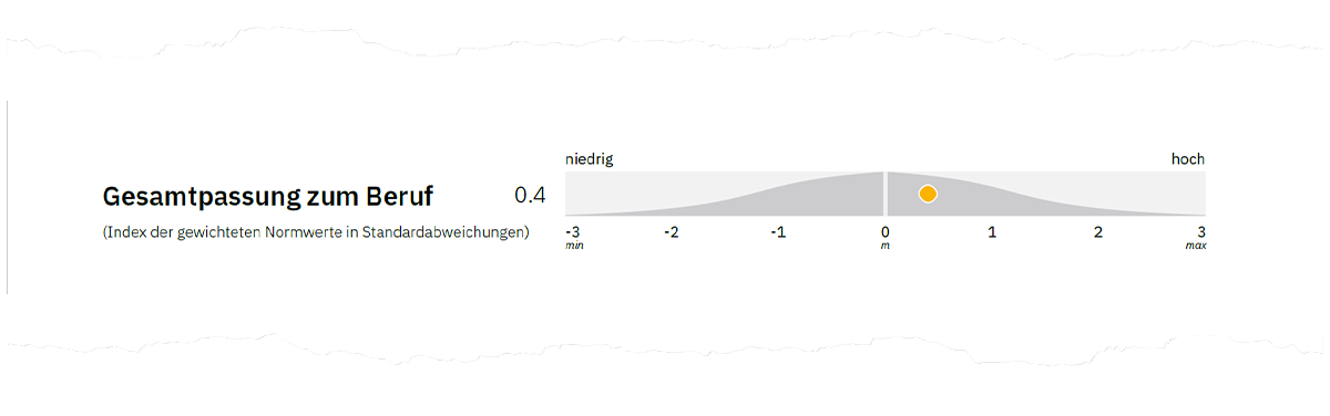 Abbildung 2. Gesamtpassung zum Beruf auf Seite 1 der Auswertung.