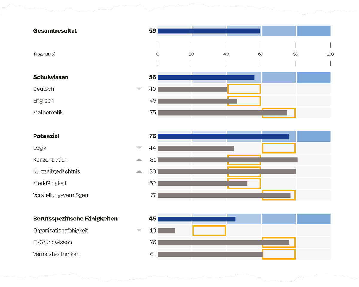 Abbildung 3. Prozentrangwerte für Fähigkeitsbereiche (dunkelblaue Balken) und deren Gebiete (graue Balken) auf Seite 1 der Auswertung (es sind beispielhaft die Anforderungslevels für den Beruf Informatiker/in EFZ Applikationsentwicklung dargestellt).