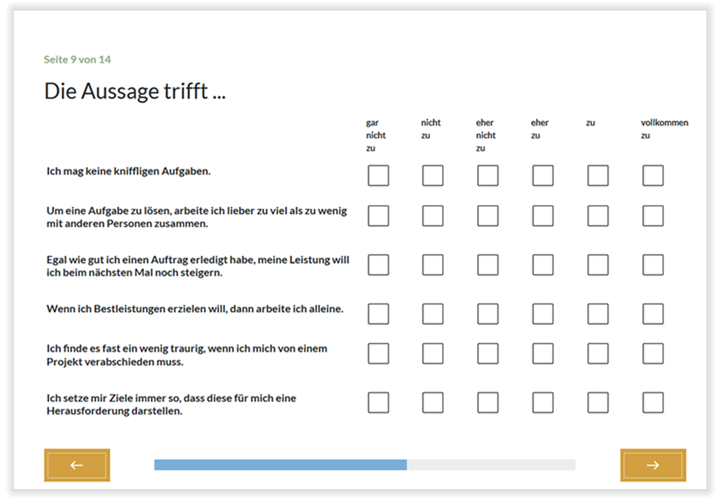 Darstellung und Antwortformat der Items