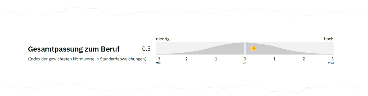 Abbildung 2. Gesamtpassung zum Beruf auf Seite 1 der Auswertung.