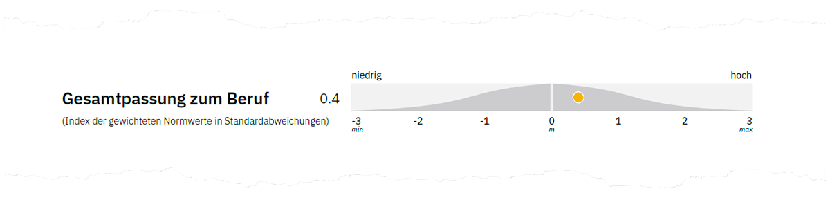 Abbildung 2. Gesamtpassung zum Beruf auf Seite 1 der Auswertung