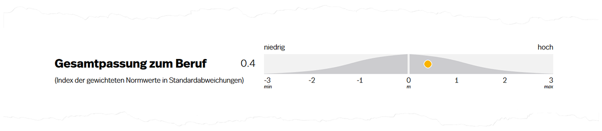 Abbildung 2. Gesamtpassung zum Beruf auf Seite 1 der Auswertung