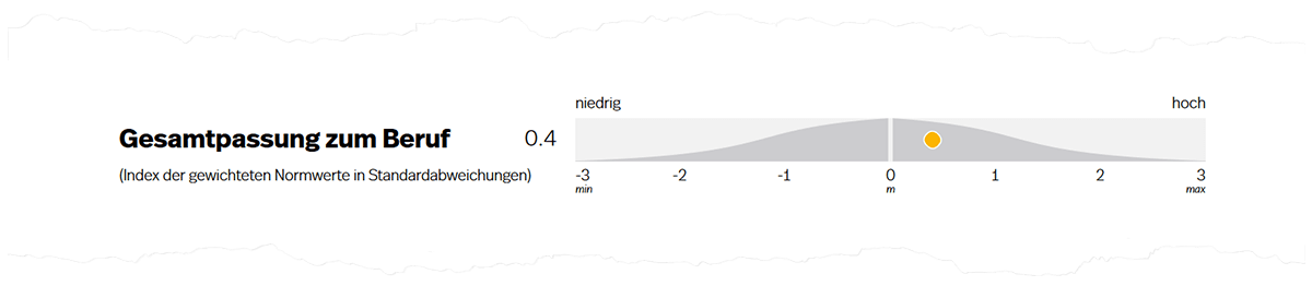 Abbildung 2. Gesamtpassung zum Beruf auf Seite 1 der Auswertung