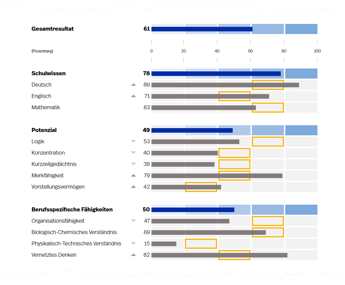 Prozentrangwerte für Fähigkeitsbereiche (dunkelblaue Balken) und deren Gebiete