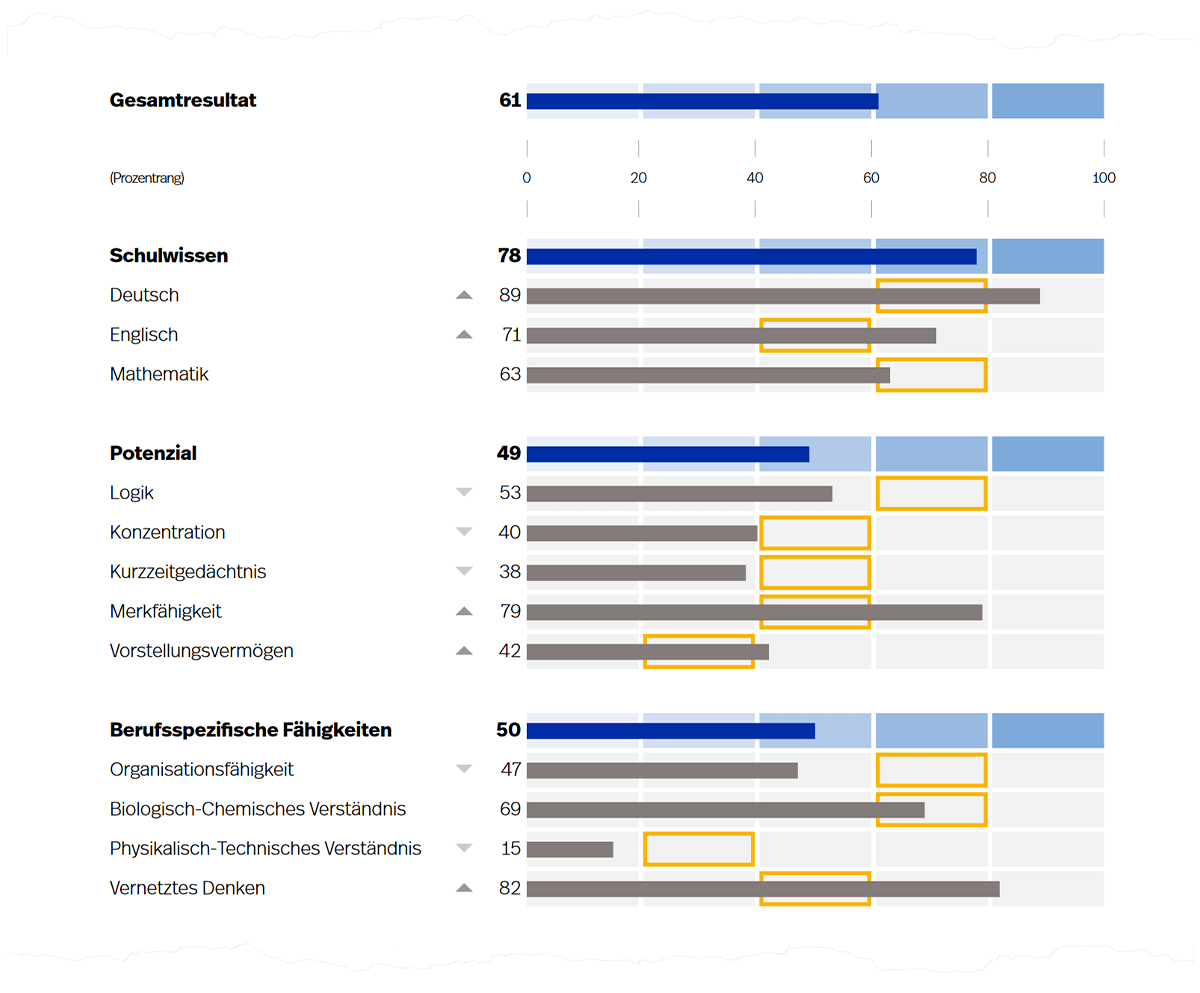 Prozentrangwerte für Fähigkeitsbereiche (dunkelblaue Balken) und deren Gebiete