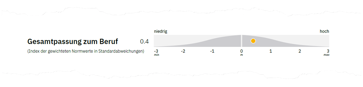 Abbildung 2. Gesamtpassung zum Beruf auf Seite 1 der Auswertung.