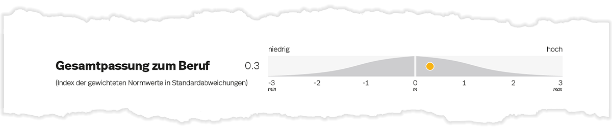 Abbildung I2. Gesamtpassung zum Beruf auf Seite 1 des Ergebnisberichts.